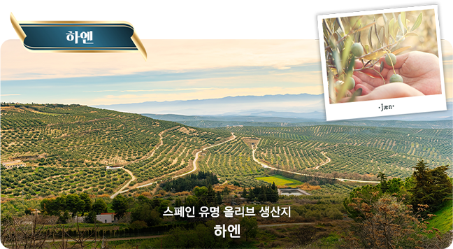 하엔