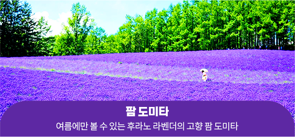 팜 도미타