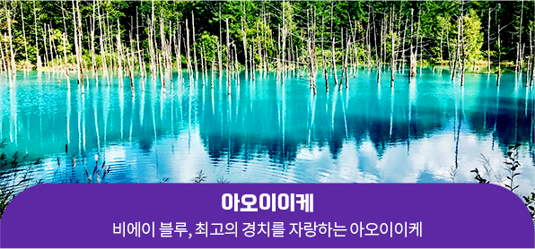 아오이이케
